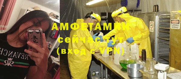 ГАЛЛЮЦИНОГЕННЫЕ ГРИБЫ Абаза