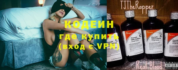 индика Сатка