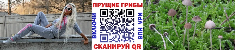 цены   shop формула  Псилоцибиновые грибы мухоморы  Беломорск 