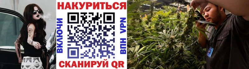 цены   Беломорск  Канабис индика 